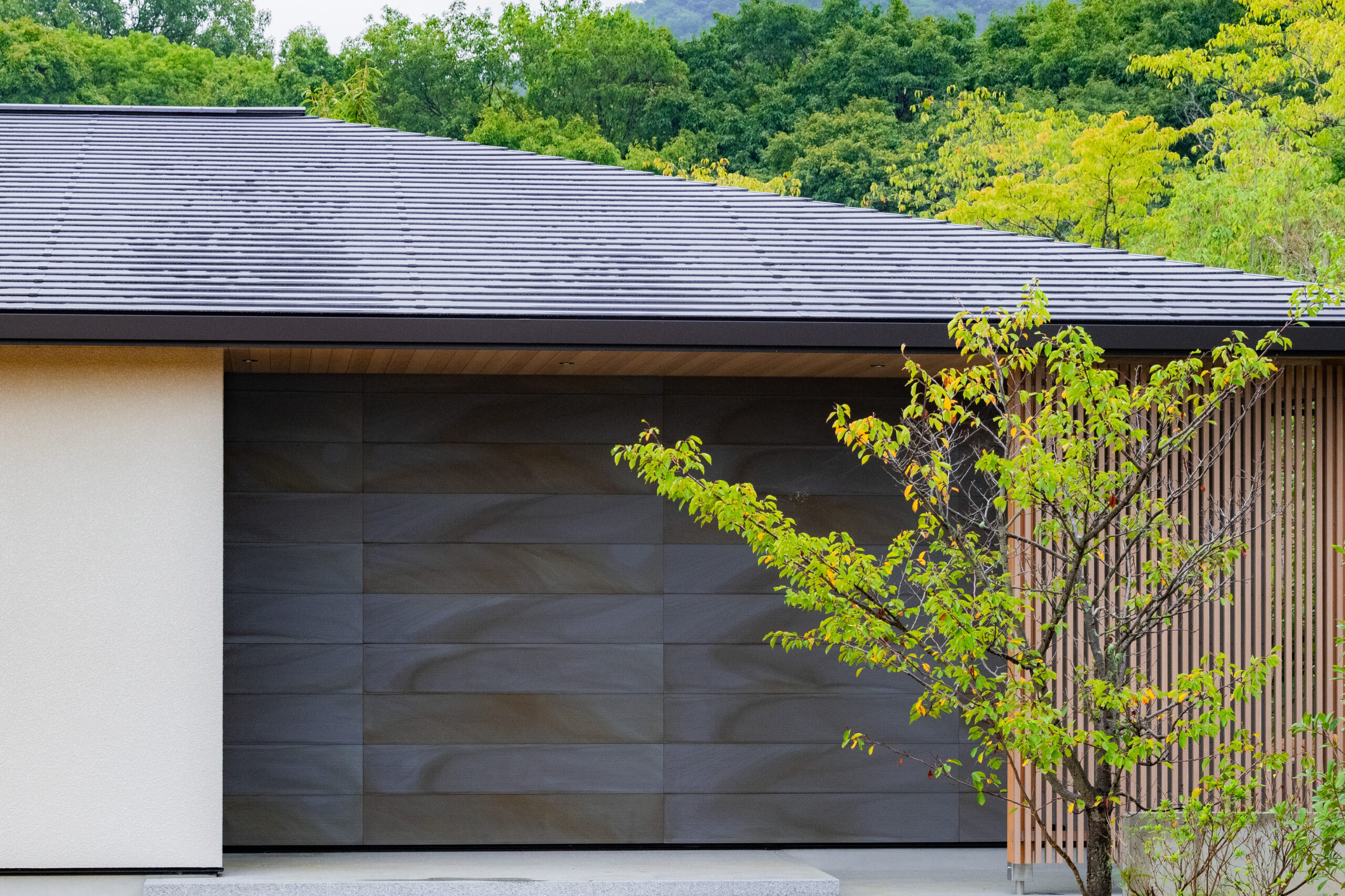 森にとけこむ外壁 山河